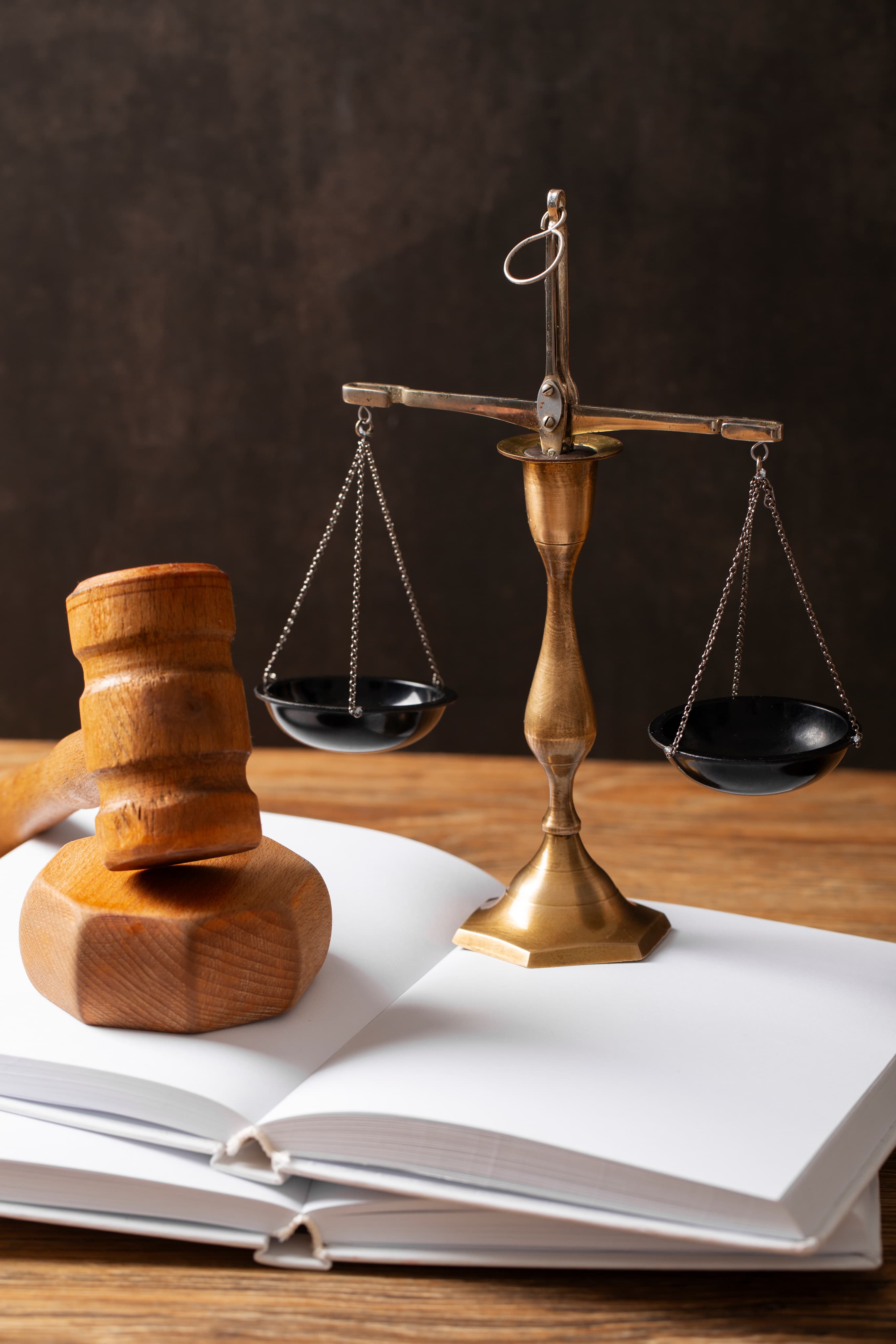 IP Law legal services